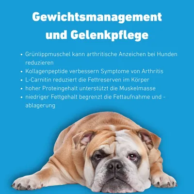 Wildfang - VetLine Trockenfutter mit Peptiden für Hunde - Gewicht & Gelenk Wildfang - VetLine Trockenfutter mit Peptiden für Hunde - Gewicht & Gelenk