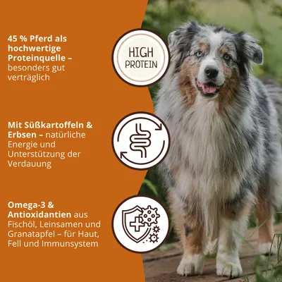 Wildfang - Adult Trockenfutter mit Pferd - getreidefrei Wildfang - Adult Trockenfutter mit Pferd - getreidefrei