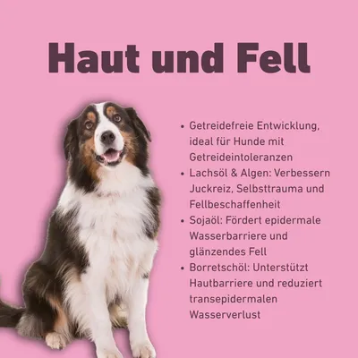 Wildfang - VetLine Trockenfutter mit Peptiden für Hunde - Haut und Fell