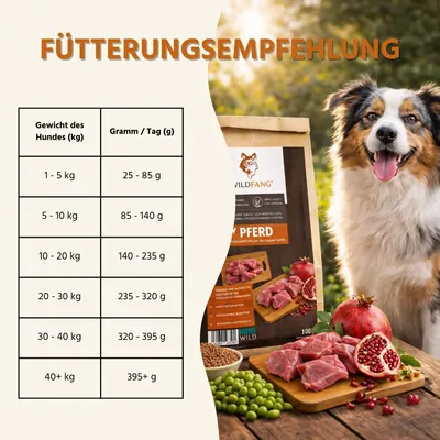 Wildfang - Genussbox Adult - Trockenfutter Wildfang - Genussbox Adult - Trockenfutter