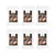 Wildfang - Genussbox Adult - Trockenfutter Wildfang - Genussbox Adult - Trockenfutter