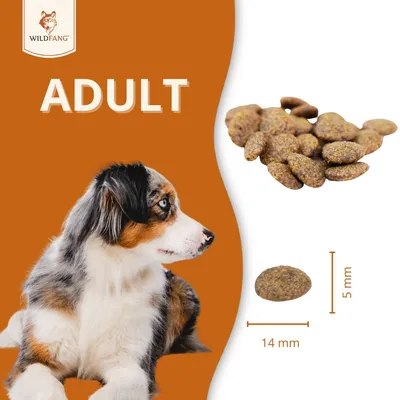Wildfang - Adult Trockenfutter mit Pferd - getreidefrei