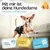 HUND IST KÖNIG saugstarke Hundewindeln Hündinnen (3 Stk), 3-Fach Justierung HUND IST KÖNIG saugstarke Hundewindeln Hündinnen (3 Stk), 3-Fach Justierung