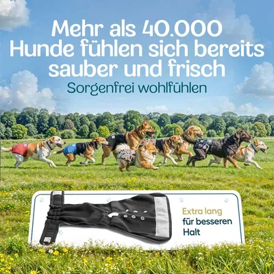 HUND IST KÖNIG saugstarke Hundewindeln Hündinnen (3 Stk), 3-Fach Justierung HUND IST KÖNIG saugstarke Hundewindeln Hündinnen (3 Stk), 3-Fach Justierung
