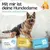HUND IST KÖNIG saugstarke Hundewindeln Hündinnen (3 Stk), 3-Fach Justierung HUND IST KÖNIG saugstarke Hundewindeln Hündinnen (3 Stk), 3-Fach Justierung