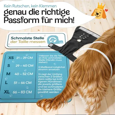 HUND IST KÖNIG saugstarke Hundewindeln Hündinnen (3 Stk), 3-Fach Justierung HUND IST KÖNIG saugstarke Hundewindeln Hündinnen (3 Stk), 3-Fach Justierung