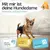 HUND IST KÖNIG saugstarke Hundewindeln Hündinnen (3 Stk), 3-Fach Justierung HUND IST KÖNIG saugstarke Hundewindeln Hündinnen (3 Stk), 3-Fach Justierung
