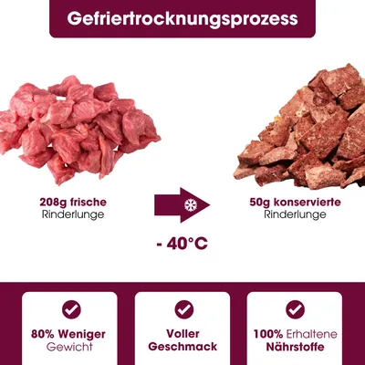 KAUDAS Hundesnack RinderlungePur - gefriergetrocknetes Rind KAUDAS Hundesnack RinderlungePur - gefriergetrocknetes Rind
