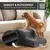 Rohrschneider Hundetreppe mit 2 Stufen
