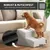 Rohrschneider Hundetreppe mit 2 Stufen