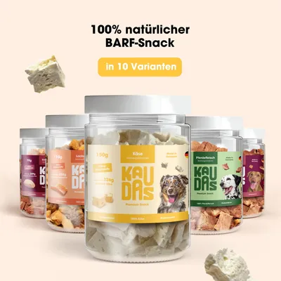 KAUDAS Hundesnack KäsePur Hundesnack - gefriergetrockneter Käse KAUDAS Hundesnack KäsePur Hundesnack - gefriergetrockneter Käse