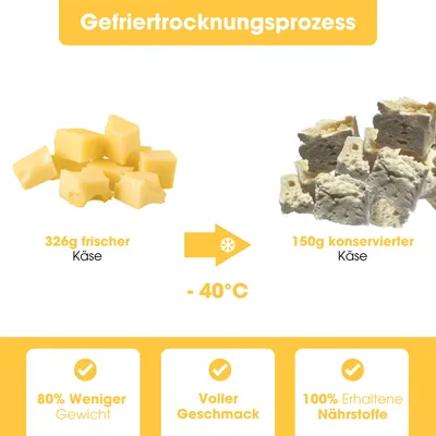 KAUDAS Hundesnack KäsePur Hundesnack - gefriergetrockneter Käse KAUDAS Hundesnack KäsePur Hundesnack - gefriergetrockneter Käse