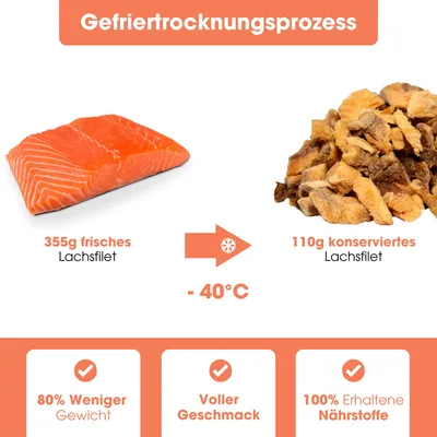 KAUDAS Hundesnack LachsPur - gefriergetrockneter Lachs