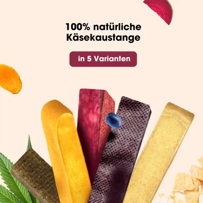 KAUDAS Käse-Kaustange Rote Beete – natürlich & zahnreinigend KAUDAS Käse-Kaustange Rote Beete – natürlich & zahnreinigend