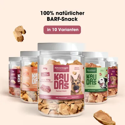 KAUDAS Hundesnack HühnermagenPur - gefriergetrocknetes Huhn KAUDAS Hundesnack HühnermagenPur - gefriergetrocknetes Huhn