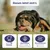 KAUDAS Käse-Kaustange Blaubeere – natürlich & zahnreinigend KAUDAS Käse-Kaustange Blaubeere – natürlich & zahnreinigend