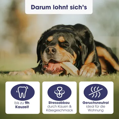 KAUDAS Käse-Kaustange Blaubeere – natürlich & zahnreinigend KAUDAS Käse-Kaustange Blaubeere – natürlich & zahnreinigend