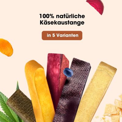 KAUDAS Käse-Kaustange Kurkuma – natürlich & zahnreinigend