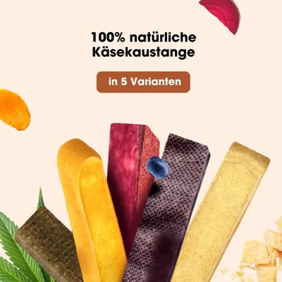 KAUDAS Käse-Kaustange Kurkuma – natürlich & zahnreinigend KAUDAS Käse-Kaustange Kurkuma – natürlich & zahnreinigend