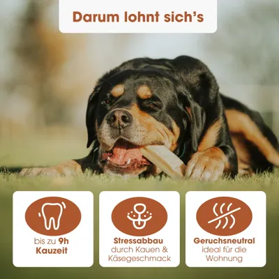 KAUDAS Käse-Kaustange Kurkuma – natürlich & zahnreinigend