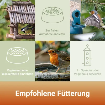 PANTO Sonnenblumenkerne geschält - Wildvogelfutter für Meisen, Finken PANTO Sonnenblumenkerne geschält - Wildvogelfutter für Meisen, Finken