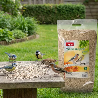 PANTO Sonnenblumenkerne geschält - Wildvogelfutter für Meisen, Finken PANTO Sonnenblumenkerne geschält - Wildvogelfutter für Meisen, Finken