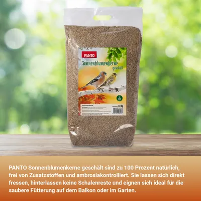 PANTO Sonnenblumenkerne geschält - Wildvogelfutter für Meisen, Finken PANTO Sonnenblumenkerne geschält - Wildvogelfutter für Meisen, Finken
