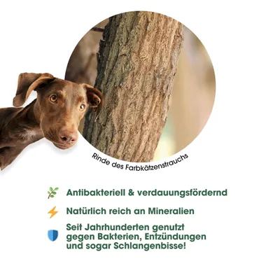 KAUDAS Sekelbos Kauholz – Zahnpflege für Hunde KAUDAS Sekelbos Kauholz – Zahnpflege für Hunde