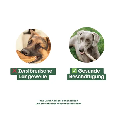 KAUDAS Sekelbos Kauholz – Zahnpflege für Hunde KAUDAS Sekelbos Kauholz – Zahnpflege für Hunde