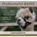 Agrobs ProKamelid Basis