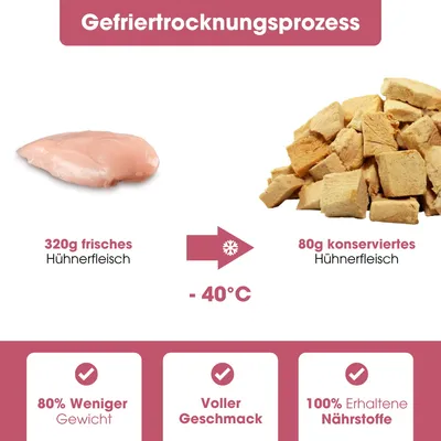 KAUDAS Hundesnack HuhnPur - gefriergetrocknetes Huhn
