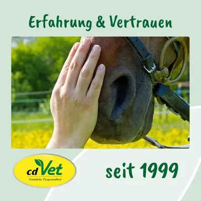 Leckstein Meersalz Vitalis Leckstein Meersalz Vitalis