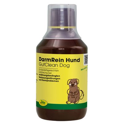 DarmRein Hund