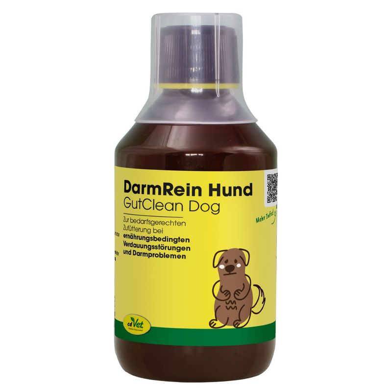 DarmRein Hund