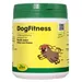DogFitness