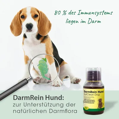 DarmRein Hund DarmRein Hund