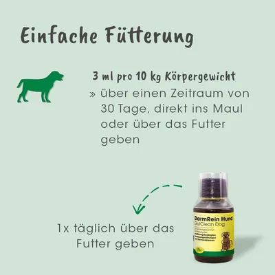 DarmRein Hund DarmRein Hund