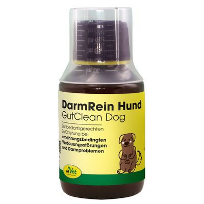 DarmRein Hund