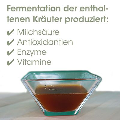 DarmAktiv plus