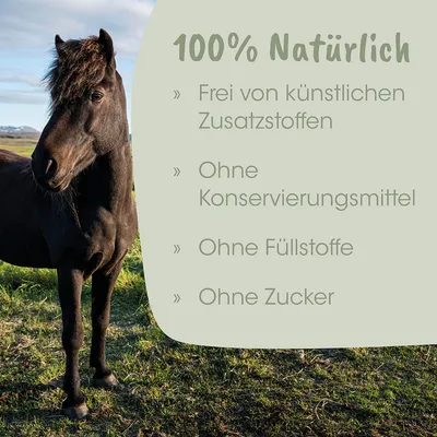 DarmAktiv plus DarmAktiv plus