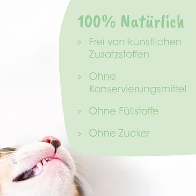 dentaVet Gel