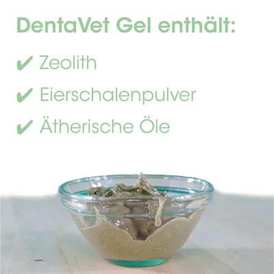 dentaVet Gel