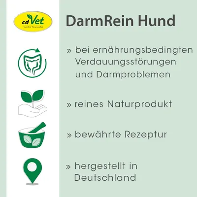 DarmRein Hund