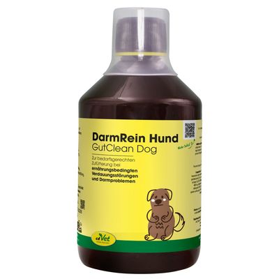 DarmRein Hund