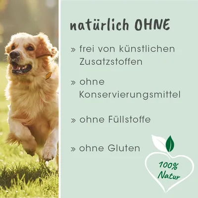 DarmRein Hund