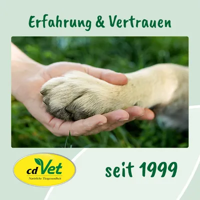 DarmRein Hund