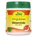 Singulares Ulmenrinde