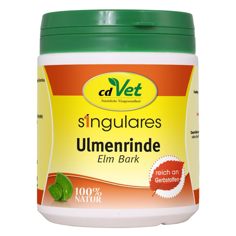 Singulares Ulmenrinde