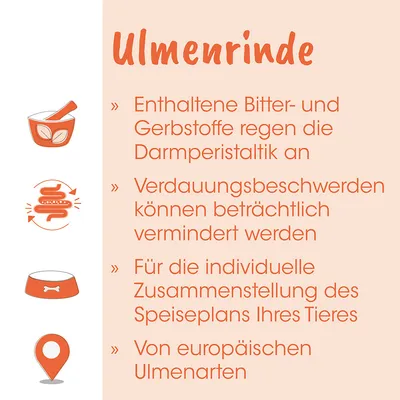 Singulares Ulmenrinde