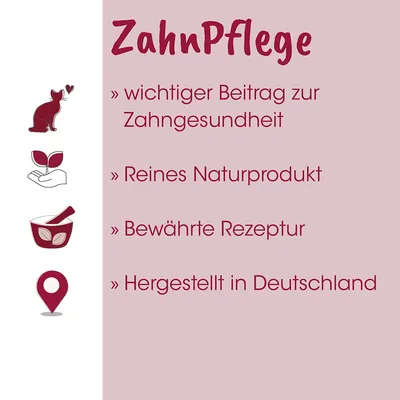 feliTATZ ZahnPflege feliTATZ ZahnPflege